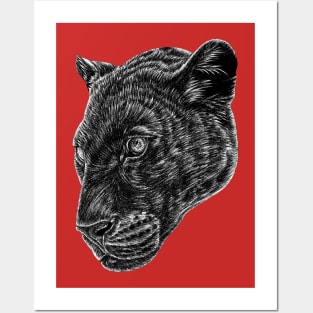 Black leopard face - panther cat animal ink illustration Posters and Art